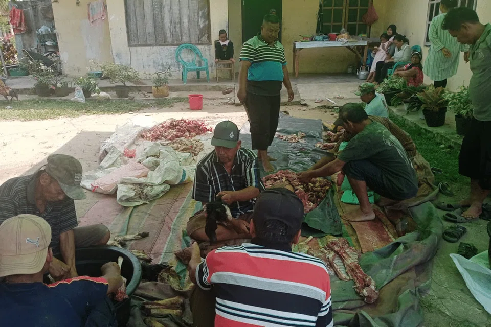 0b6a96f6-c92b-4e5a-b3a3-39cbbe5ae290