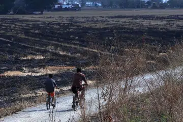Kawasan sawah padi di Perlis kering kontang berikutan cuaca panas yang berpanjangan di Perlis.