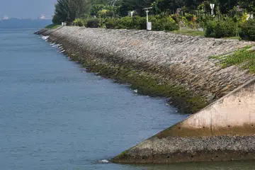Tiada kesan minyak kelihatan di perairan bersebelahan Penghubung Taman Changi Bay, berhampiran Pusat Pameran Changi pada 29 Oktober.