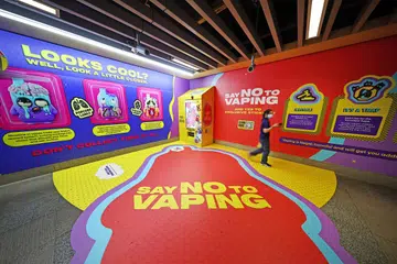 Singapura, vape, laman mikro, Ong Ye Kung