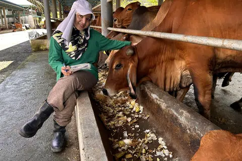 Pengarah Urusan Arrayyan Farm Cik Imelda Nasreen Mispan aktif memasarkan lembu-lembu pelbagai baka termasuk jenis ‘sado’ menerusi platform media sosial seperti Facebook, TikTok dan Instagram.
