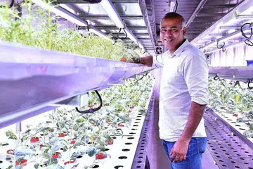 TEKNOLOGI CANGGIH: VertiVegies menggunakan kecerdasan buatan dan analisis data untuk menghasilkan sayur-saturan yang menjadi kegemaran warga setempat, kata pengarahnya, Encik Veera Sekaran (gambar). - Foto CMG