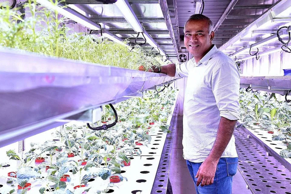 TEKNOLOGI CANGGIH: VertiVegies menggunakan kecerdasan buatan dan analisis data untuk menghasilkan sayur-saturan yang menjadi kegemaran warga setempat, kata pengarahnya, Encik Veera Sekaran (gambar). - Foto CMG