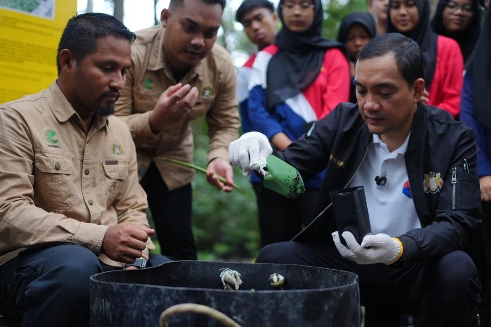 Menteri Besar Johor, Datuk Onn Hafiz Ghazi (kanan), menanam benih pokok bakau ketika melawat Taman Negara Tanjung Piai, Pontian.