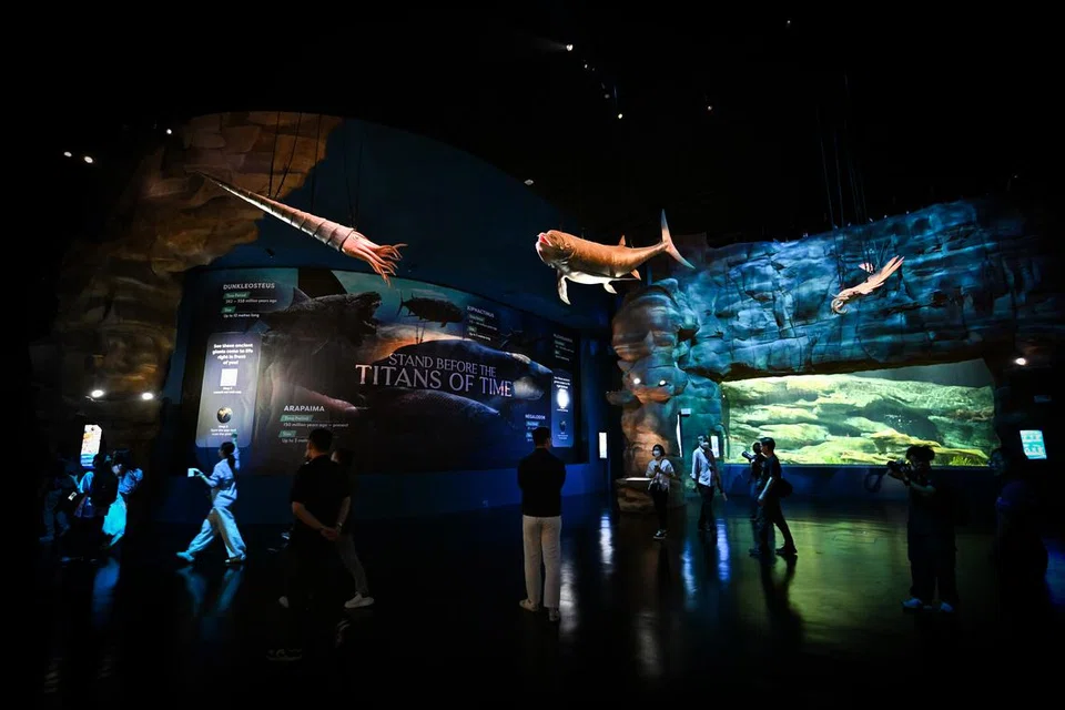 Pengunjung berjalan di bawah animatronik dan replika besar makhluk laut purba di zon ‘Ancient Waters’ sewaktu previu media di Singapore Oceanarium pada 16 Julai 2025.