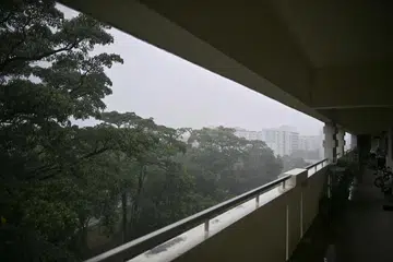 Pokok-pokok besar di hadapan Blok 321 Tampines Street 33 yang dirakam pada 25 Februari 2026.