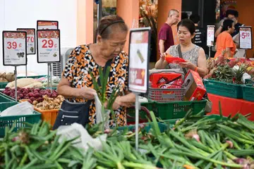 Perangkaan yang dikeluarkan Jabatan Statistik Singapura (SingStat) pada 13 Februari menunjukkan pendapatan isi rumah median daripada pekerjaan meningkat kepada $11,297 pada 2024 daripada $10,869 pada 2023.