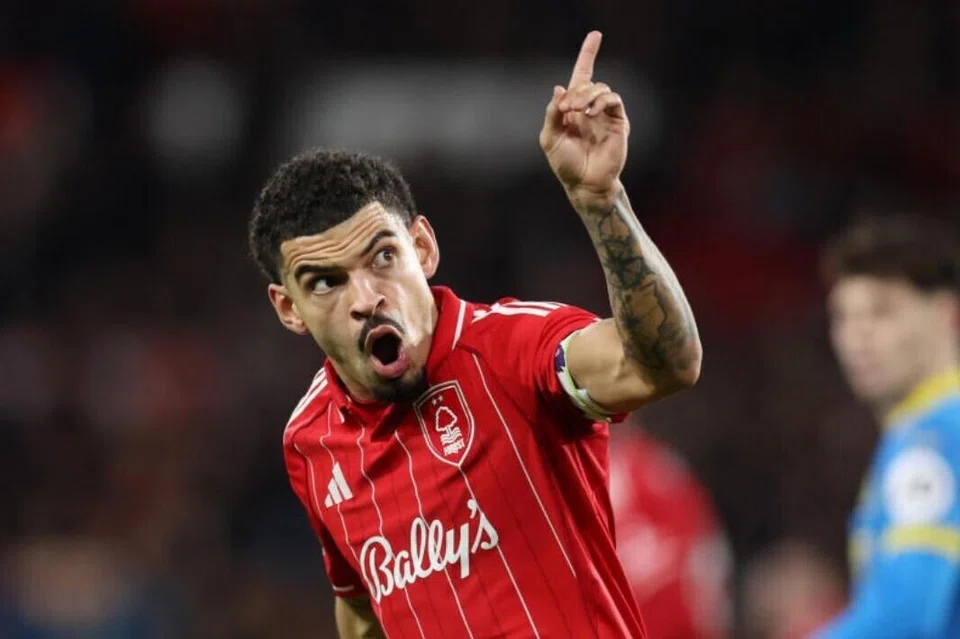 dipecat, Forest, Dyche