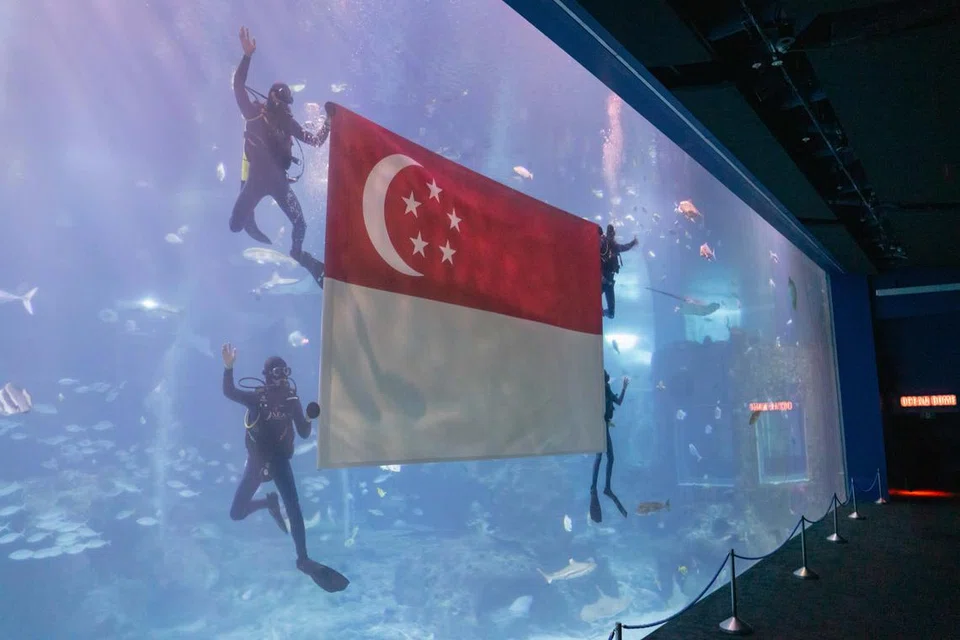 Penyelam mengibar bendera Singapura di dalam air di Open Ocean Habitat di S.E.A Aquarium Sentosa sewaktu pratonton NDP pada 17 Julai.