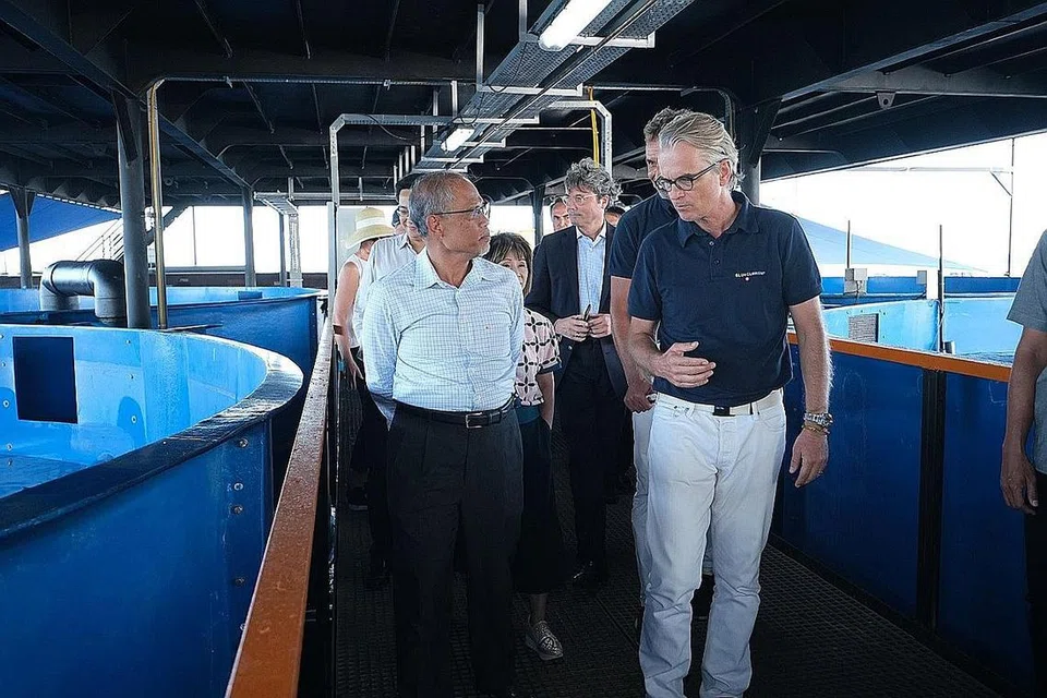 PELBAGAI PEKERJAAN BARU AKAN DIHASILKAN DALAM PERUSAHAAN MAKANAN, PERSEKITARAN DAN AIR. - Foto fail