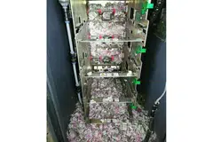 DIGIGIT TIKUS: Gambar yang diambil pada 19 Jun 2018 ini menunjukkan wang kertas berjumlah 1.2 juta rupee ($24,055) dalam cebisan kecil selepas digigit tikus.