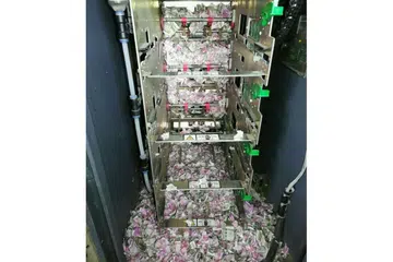 DIGIGIT TIKUS: Gambar yang diambil pada 19 Jun 2018 ini menunjukkan wang kertas berjumlah 1.2 juta rupee ($24,055) dalam cebisan kecil selepas digigit tikus.