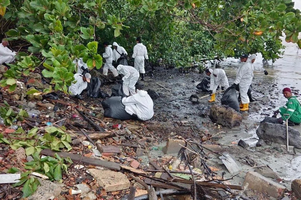 Petugas daripada syarikat kontraktor yang dilantik giat menjalankan kerja pembersihan sisa tumpahan minyak di pantai Johor ekoran tumpahan minyak di Terminal Pasir Panjang, Singapura.