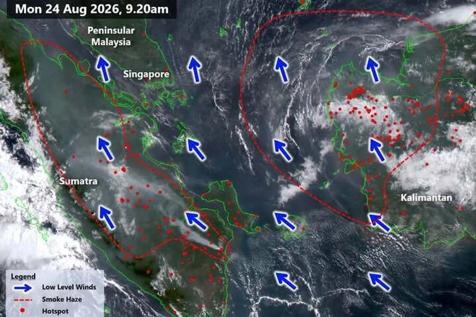 Grafik Agensi Sekitaran Kebangsaan (NEA) menunjukkan kedudukan titik panas di Sumatera, Riau dan Kalimantan, serta tiupan angin dari arah selatan dan tenggara yang berisiko membawa jerebu ke Singapura.