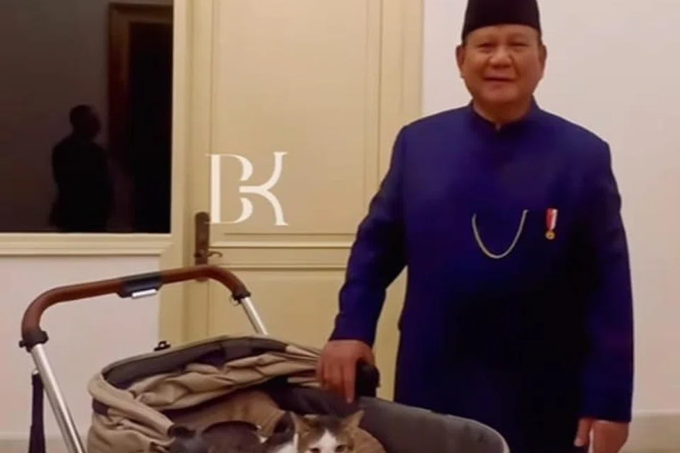 Presiden Prabowo Subianto bersama kucing peliharaannya Bobby Kertanegara di Istana Merdeka. Bobby yang diberi julukan ‘kucing pertama Indonesia’ kini menginap di kediaman rasmi Presiden kelapan republik itu.