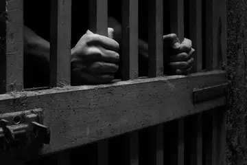 - Foto hiasan ISTOCKPHOTO