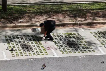R. Nadhiban didakwa menggunakan pisau untuk mengelar Encik Kaalithasan Govindaragi pada kira-kira 1 petang pada 17 April  di tempat letak kereta di kawasan lapang antara blok 676 dan 677, Hougang Avenue 8.