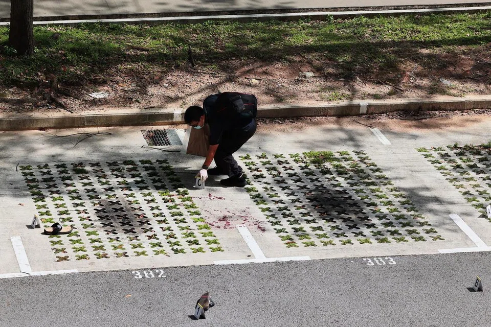 R. Nadhiban didakwa menggunakan pisau untuk mengelar Encik Kaalithasan Govindaragi pada kira-kira 1 petang pada 17 April  di tempat letak kereta di kawasan lapang antara blok 676 dan 677, Hougang Avenue 8.
