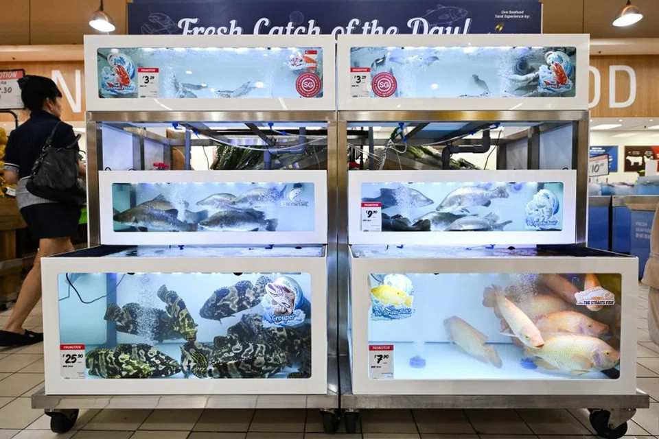 Pelanggan boleh mendapatkan tilapia tempatan di bawah jenama, ‘The Straits Fish’, pada harga $7.90 seekor, dan udang ‘vannamei’ (udang putih) pada harga $32.90 sekilogram.