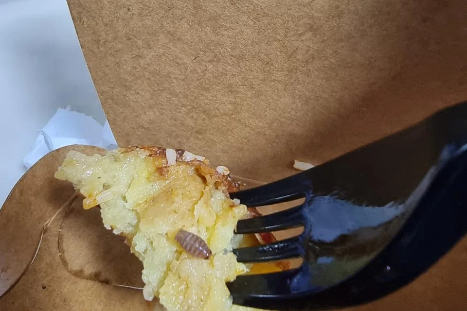 JUMPA ULAT: Pelanggan yang sedang memakan Nasi Lemak yang dibeli dari kedai Crave mendakwa terjumpa ulat dalam bergedel beliau.
