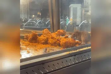 Foto TANGKAP LAYAR TIKTOK