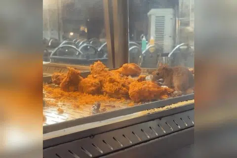 Foto TANGKAP LAYAR TIKTOK