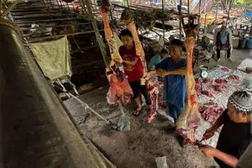 Simpanan RM80 sebulan dilakukan 21 ahli keluarga hingga berjaya membeli tiga lembu buat tunai ibadah korban sempena Aidiladha pada 2025.