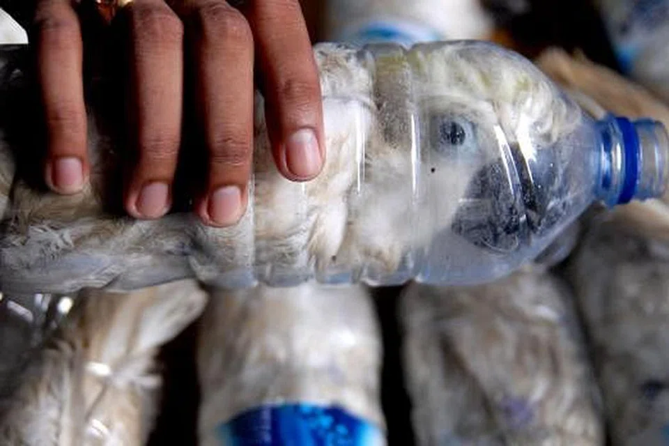 677081cb-d24e-4b6a-88e4-91425bb6fd0c