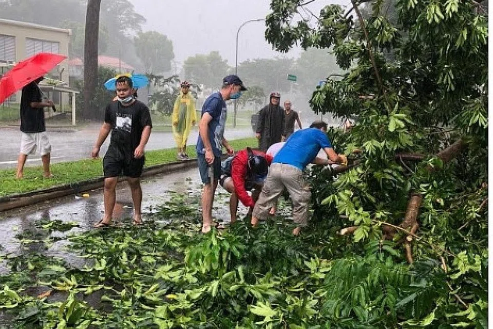 POKOK TUMBANG: Encik Danial Aqil Nizam (dua dari kiri) bersama jiran dari Halton Road berdekatan Changi Village bersama-sama memotong dahan pokok besar tumbang untuk memberi laluan lalu lintas ke Changi Village. - Foto ihsan DANIAL AQIL NIZAM 