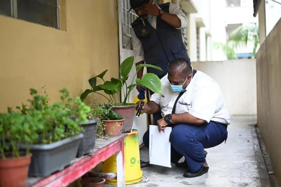 Penguatkuasa pihak berkuasa tempatan dan Jabatan Kesihatan Negeri akan melakukan pemeriksaan di lokasi wabak denggi untuk menghapuskan punca pembiakan nyamuk Aedes yang menjadi punca jangkitan demam denggi.