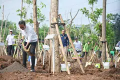 BUMI HIJAU: Presiden Indonesia, Encik Joko ‘Jokowi’ Widodo mahu membangun Ibu Kota Nusantara (IKN) dengan kemampanan persekitaran seperti yang dilakukan di acara penanaman pokok di Jakarta Timur pada 29 November.  