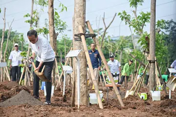 BUMI HIJAU: Presiden Indonesia, Encik Joko ‘Jokowi’ Widodo mahu membangun Ibu Kota Nusantara (IKN) dengan kemampanan persekitaran seperti yang dilakukan di acara penanaman pokok di Jakarta Timur pada 29 November.  