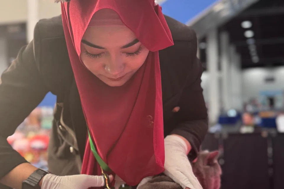 Cik Zee kelihatan tekun mendandan kucing dan mengukir bentuk ‘naga’ untuk pertandingan UCA Cat Groomer Elite Creative.
