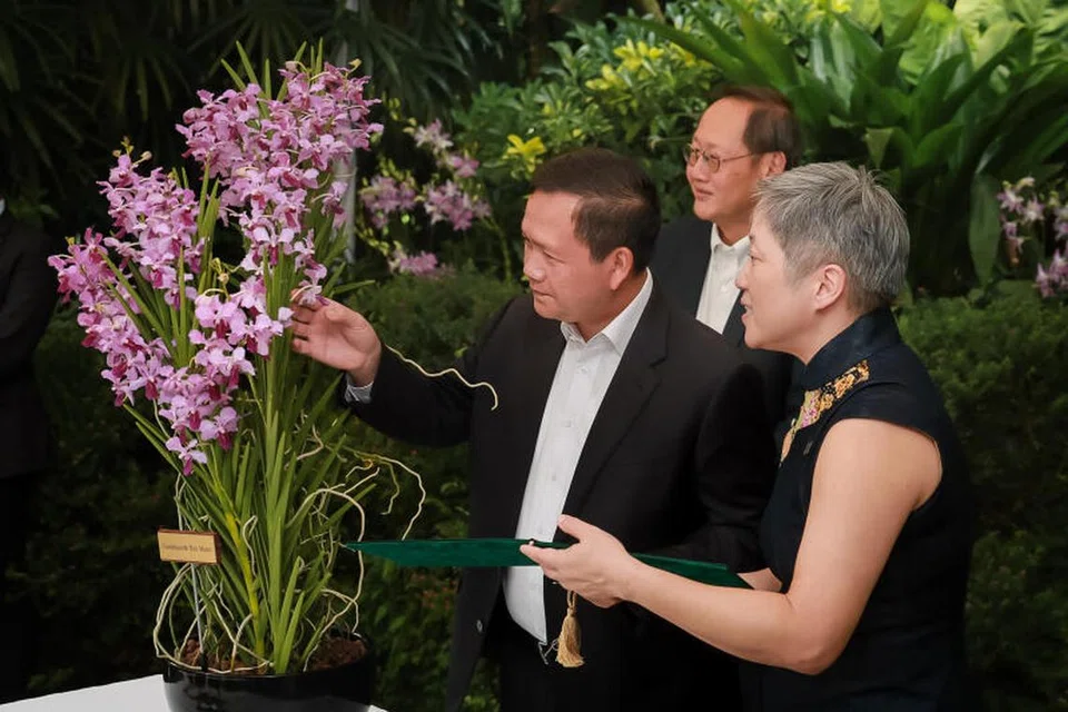 Perdana Menteri Kemboja, Encik Hun Manet (kiri) menamakan anggerik hibrid baru, Vanchoanthe Hun Manet, bersama Menteri Tenaga Manusia, Dr Tan See Leng (dua dari kiri) dan Ketua Pegawai Eksekutif (CEO) Lembaga Taman Negara (NParks) Cik Hwang Yu-Ning (kanan) di Majlis Penamaan Anggerik yang diadakan di Kebun Orkid Negara pada 18 Jun.