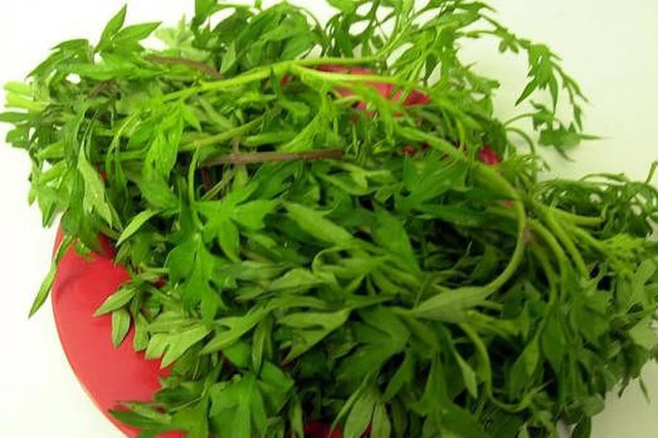 AMALKAN MAKAN SALAD: Demi kesihatan, makan banyak sayur dan buah-buahan, serta kurangi makanan berlemak seperti beriani. - Foto-foto fail