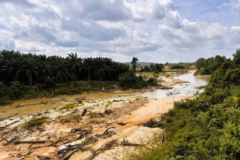 Nelayan Kampung Orang Asli Sayong Pinang terpaksa meredah Sungai Tengkil yang cetek untuk sampai ke Sungai Linggiu.