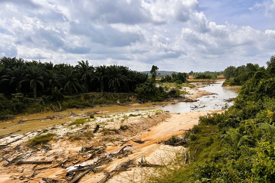 Nelayan Kampung Orang Asli Sayong Pinang terpaksa meredah Sungai Tengkil yang cetek untuk sampai ke Sungai Linggiu.