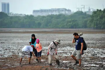 PULIHARA RUANG MARIN: Menteri Pembangunan Negara, Encik Desmond Lee, menerapkan bahawa sebagai sebuah negara yang kecil, Singapura sentiasa perlu mengimbangi pemuliharaan alam semula jadi dengan keperluan pembangunan. - Foto fail