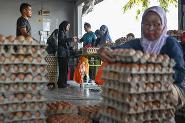 Permintaan telur ayam melonjak hingga orang ramai beratur dari awal pagi di sebuah pusat pemborong telur di Chabang Tiga, Kuala Terengganu, pada 19 Jun, selepas kerajaan Malaysia mengumumkan penurunan harga telur ayam gred A, B, dan C sebanyak 3 sen sebiji mulai 17 Jun.