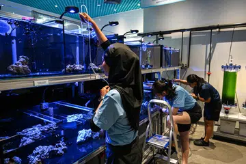 Cik Hairati Mohd Noor (kiri), bersama rakan sekerjanya membersihkan tangki ikan di Aquarist Lab di S.E.A. Aquarium, Resorts World Sentosa. Pasukan itu menyalur keluar sisa makanan dan najis, bagi menghalangnya daripada menyebabkan pertumbuhan bakteria yang akan membahayakan penghuni kecil di dalam tangki.