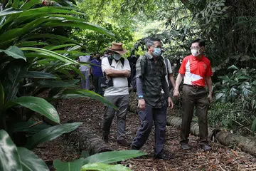 MENGHIJAU: Timbalan Perdana Menteri Encik Heng Swee Keat (kanan sekali) ketika berkunjung ke Pulau Ubin pada Pesta Ubin semalam. Bersamanya ialah pakar kupu-kupu Encik Khew Sin Khoon (kiri). - FOTO LIANHE ZAOBAO