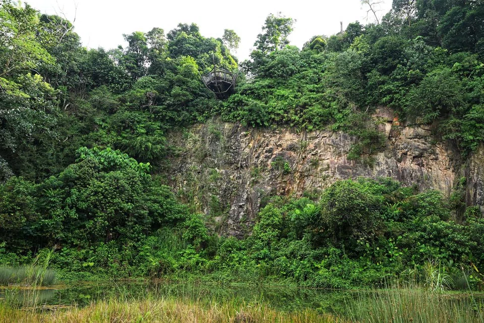 Taman Alam Semula Jadi Rifle Range diiktiraf kerana terdapat usaha menyokong kekayaan biodiversiti di bekas Kuari Sin Seng. Pemuliharaan biodiversiti semasa pembangunan taman menjadi faktor utama semasa proses penilaian. Ia diberi pensijilan teratas iaitu platinum di bawah kategori taman.