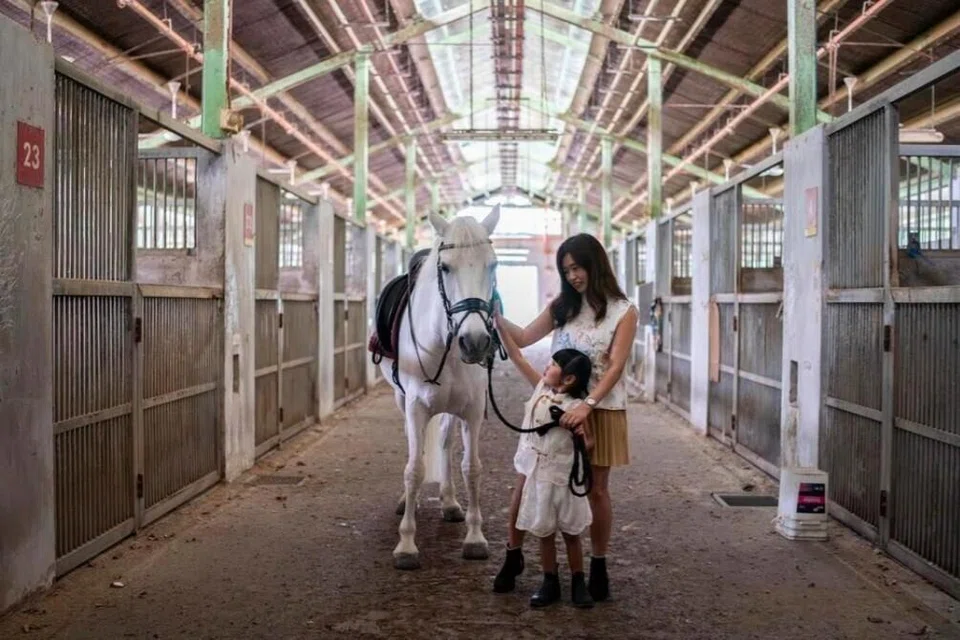 Cik Zann Chin dan anak perempuannya, Zaelyn, bersama Molly. Cik Chin mahu sesi fotografi ini menjadi kenangan manis untuk anaknya.
