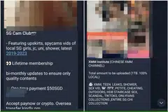 TERSEBAR DI TELEGRAM : Tangkap layar iklan untuk saluran Telegram yang mengandungi bahan lucah