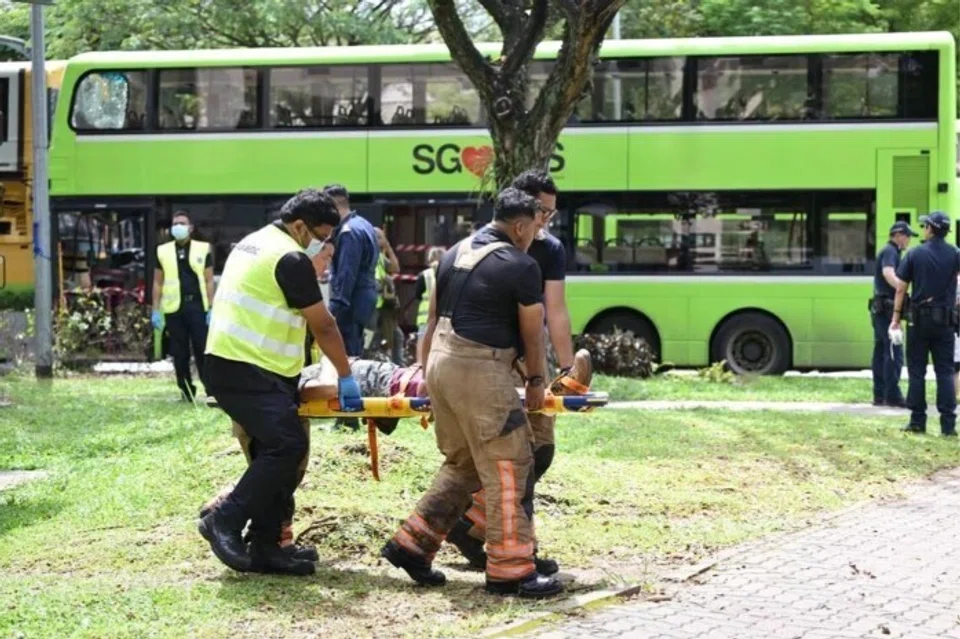nahas bas, jurong west avenue 1, tower transit bus