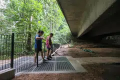 MENCEGAH: Pagar setinggi satu meter telah dipasang di tapak Jalan Bawah Bangkit di Zhenghua Nature Park. 