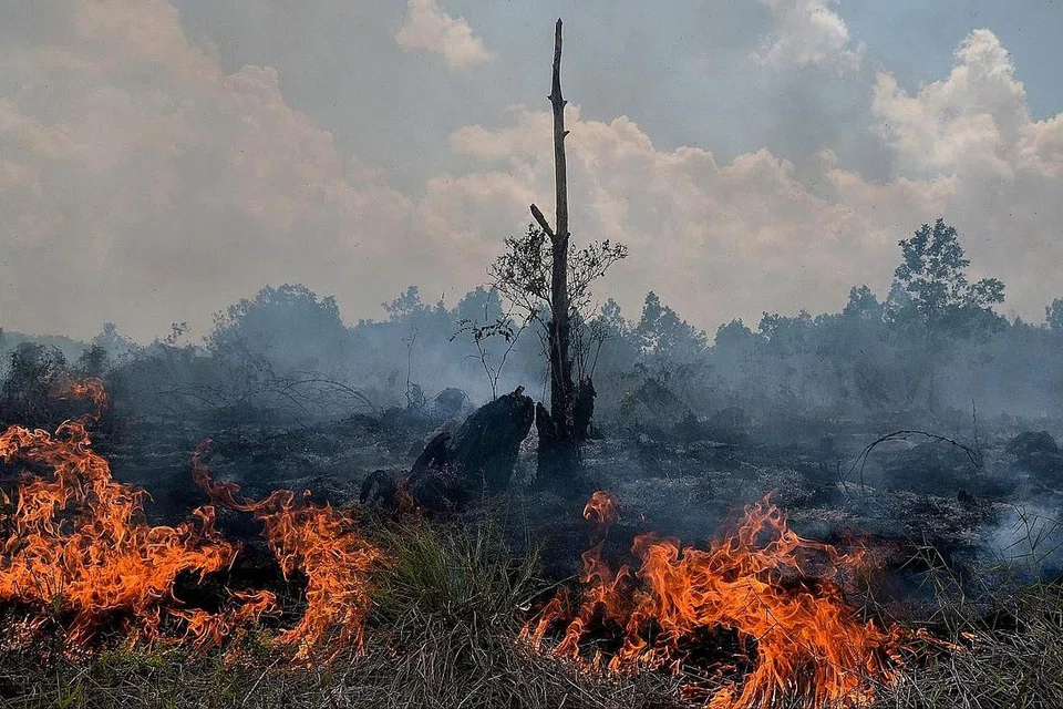 TITIK PANAS: Kebakaran di kawasan tanah gambut yang menyebabkan jerebu di Pekanbaru, Riau, dirakamkan pada 1 Februari lalu. Ia adalah antara lebih 70 kawasan kebakaran yang menyebabkan jerebu dikesan di Sumatera. - Foto AFP