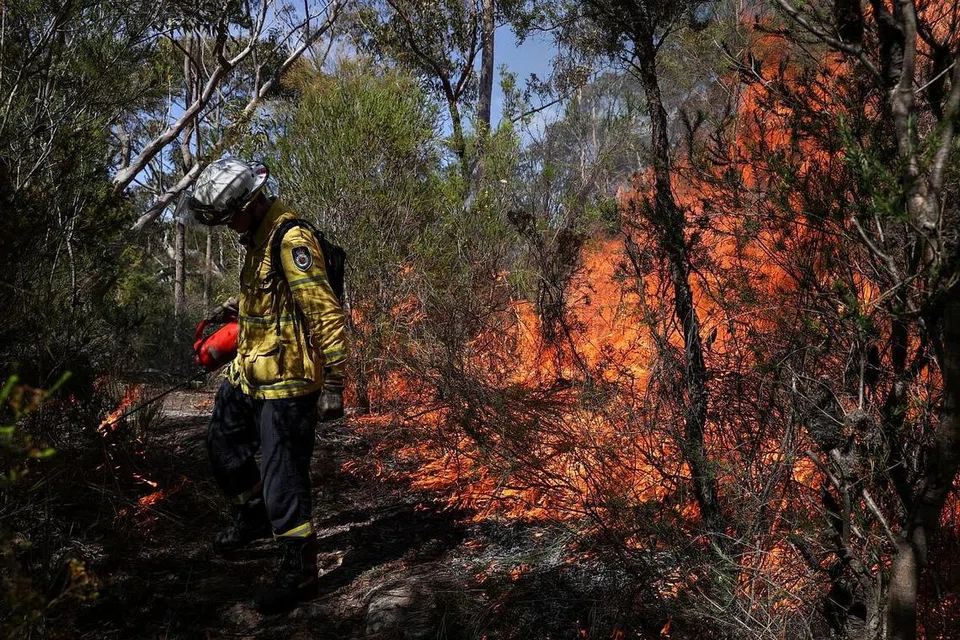 KAWAL KEBAKARAN: Seorang anggota pasukan Perkhidmatan Bomba Luar Bandar New South Wales melakukan pembakaran terkawal untuk menghilangkan bahan bakar sebelum musim kebakaran yang menjelang di pinggir bandar Arcadia, Sydney, Australia pada 8 September 2020. - Foto REUTERS