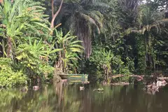 Taman hutan berusia 100 tahun dibuka di Kebun Bunga