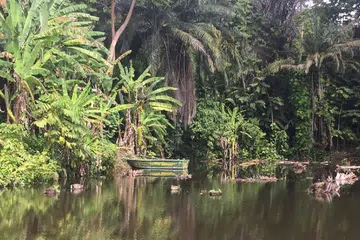Taman hutan berusia 100 tahun dibuka di Kebun Bunga